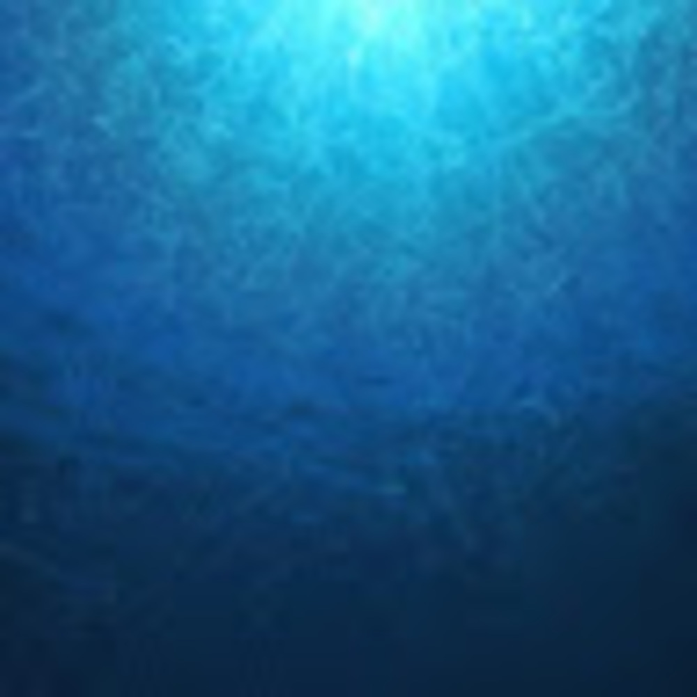 Meet your Posher, Alden